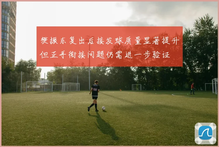 樊振东复出后接发球质量显著提升但正手衔接问题仍需进一步验证